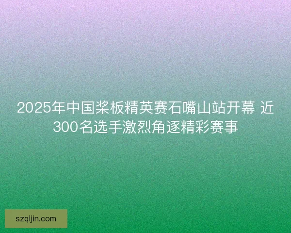 2025年中国桨板精英赛石嘴山站开幕 近300名选手激烈角逐精彩赛事