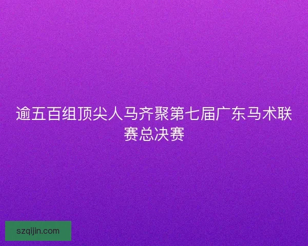 逾五百组顶尖人马齐聚第七届广东马术联赛总决赛