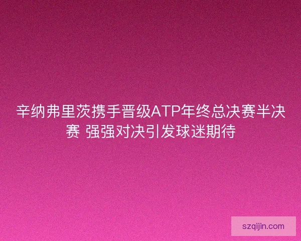 辛纳弗里茨携手晋级ATP年终总决赛半决赛 强强对决引发球迷期待
